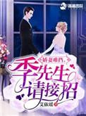 娇妻难挡季先生请接招完整版