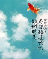 是你路过我的倾城时光赵一芒