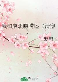 和康熙网恋