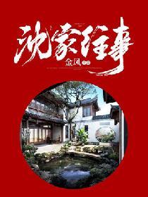 沈家往事全文阅读最新章节