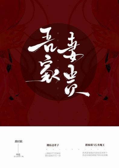 吾家妻贵无弹窗