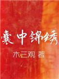 囊中锦绣by木三观晋江