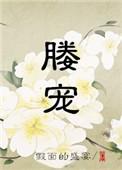 媵宠假面的盛宴