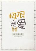 极限宠爱番外