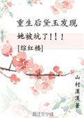 黛玉重生红楼掠过一城梦