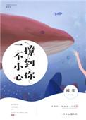 一不小心撩到爱