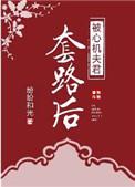 被心机夫君套路后作者纷纷和光