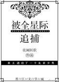 被全星际追捕的