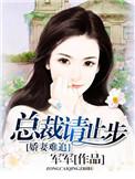 娇妻难惹总裁请签收