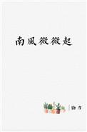 南风微微起txt百度