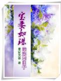 宝妻最好看的