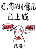 叮你的小傻子已上线全文免费阅读