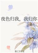 夜色归我我归你讲了什么