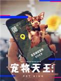 宠物天王实体书到第几章