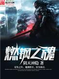 燃钢之魂多少字