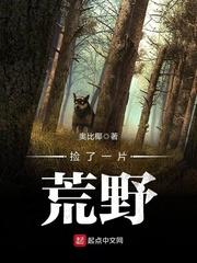 捡了片荒野txt