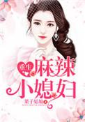 重生麻辣小媳妇免费阅读全文