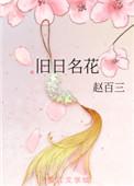 旧日名花赵百三 txt