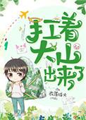 扛着大山出来了 ...