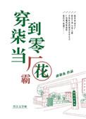 穿到七零当厂花百度