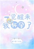 一觉醒来我怀孕了txt宝书网