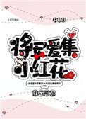 将军爱集小红花TXT百度