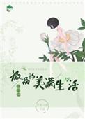 快穿之极品美满人生