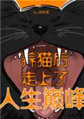 养猫后走上人生巅峰免费阅读TXT