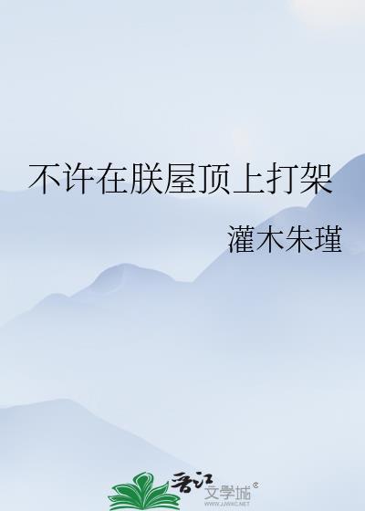 不许在朕的屋顶上打架2k