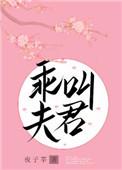 叫夫君txt