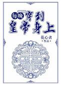 每晚穿越到皇上身上晋江