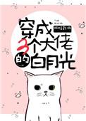穿成三个大佬的白月光男主txt