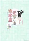 谁家还没有几座矿了