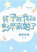 怀孕后我与影帝离婚了txt