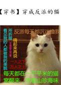 穿成反派的猫晋江文学城