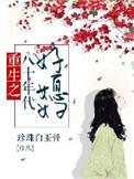重生之八十年代好媳妇 作者珍珠白玉骨