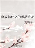 穿成年代文极品的