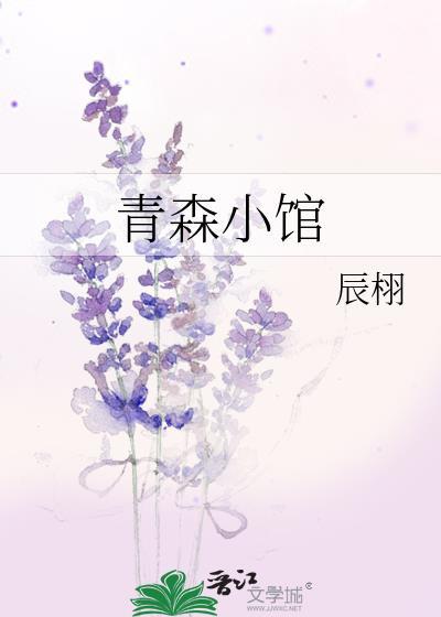 青森小镇