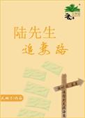 陆先生追妻路 作者风翎子