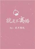 就是不离婚[星际
