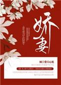 重生成为对头的娇妻by两个豆乳盒子
