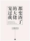 大佬们宠过头了又闯祸了