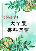 红楼大丫鬟奋斗日常免费阅读