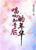 唱响知青后的年华 杨李涛涛免费