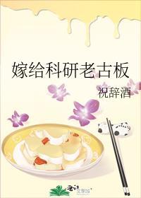 嫁给科研老古板by祝辞酒番外