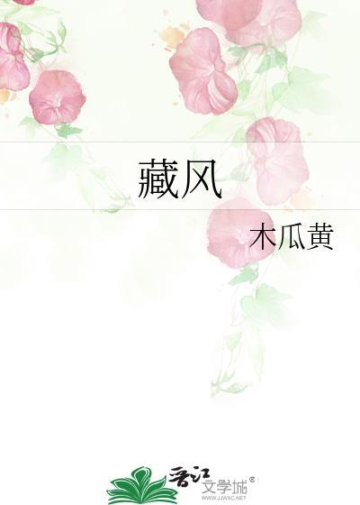 藏风聚气的意思
