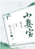 小妻宝[重生