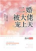 二婚大佬宠上天全本免费阅读