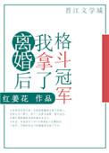 离婚后我拿了格斗冠军番外12