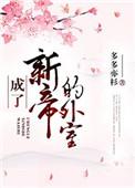 成了新帝的外室+番外